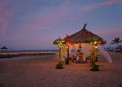 Bali Tropic:  